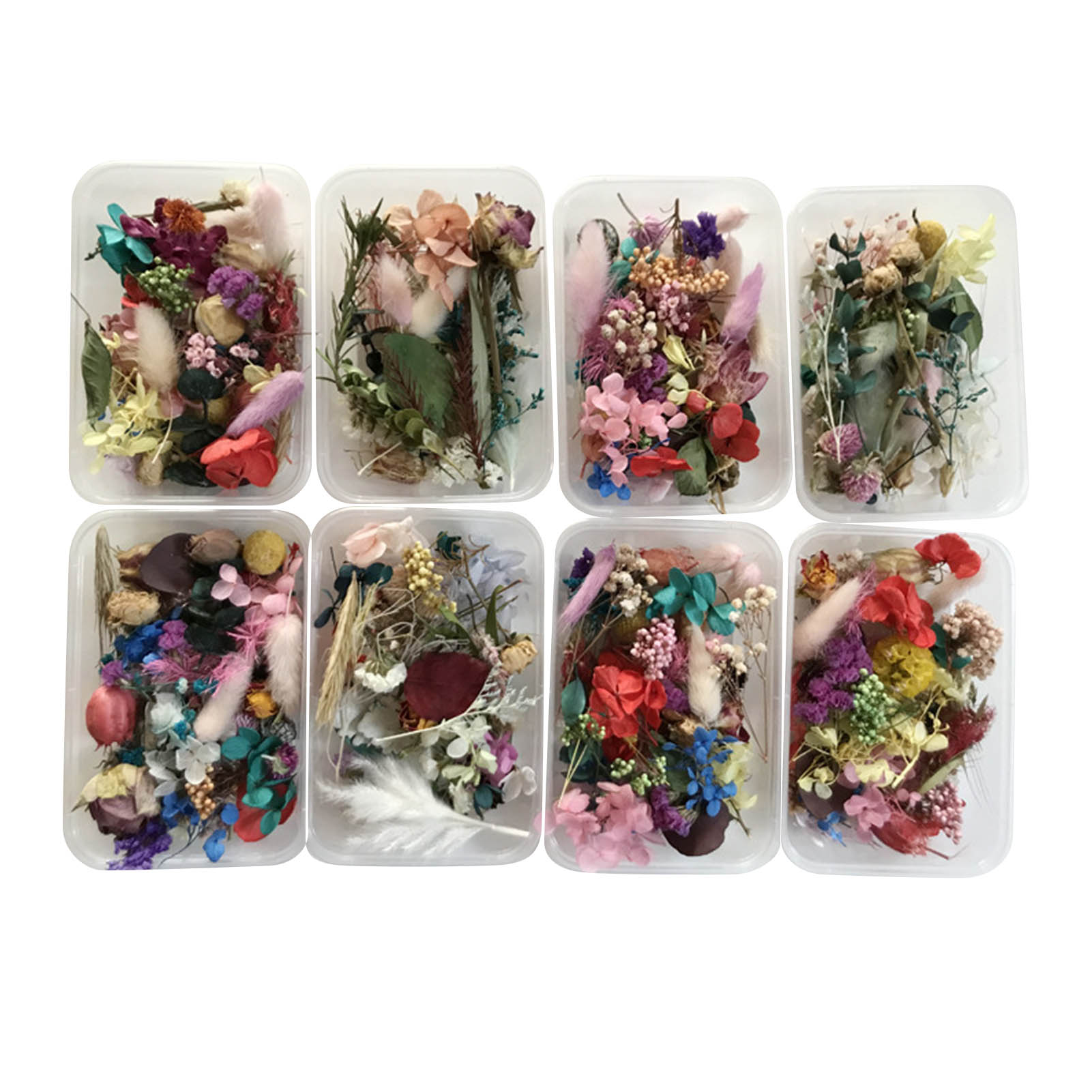 Dried Herbs - Natuurlijke Gedroogde Bloem Kit Geperst Kunstwerk