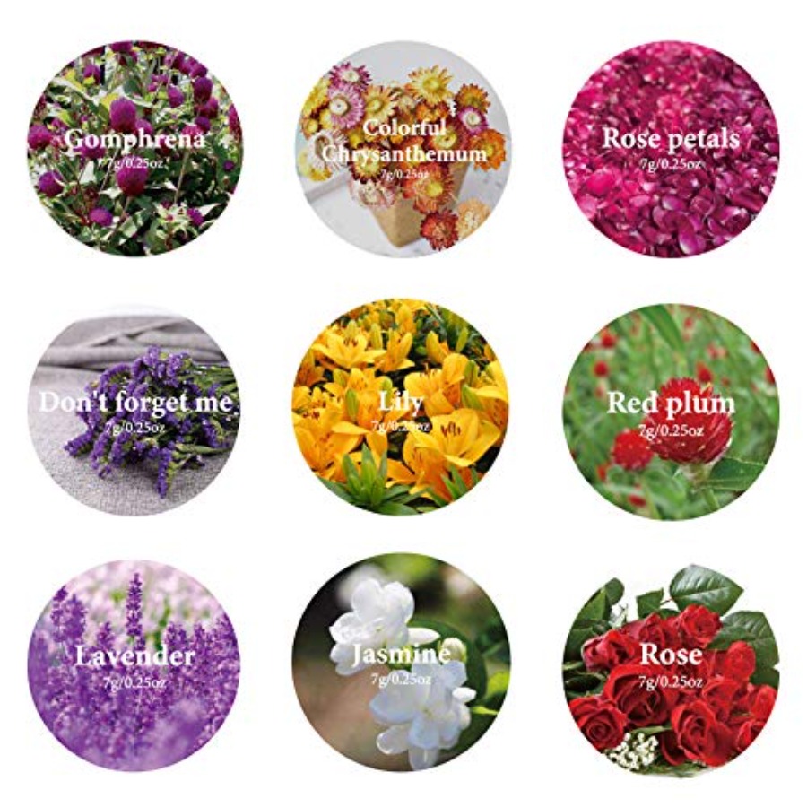 9 zakjes gedroogde bloemen, 10 - Dried Herbs recensie en prijs